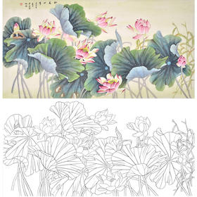 横幅四尺六尺工笔花鸟白描底稿-仇谷-荷花-和美四季-A150