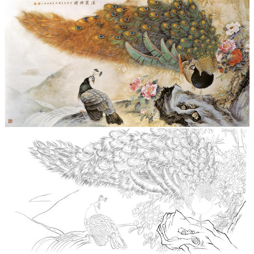 横幅工笔花鸟白描底稿-张玉明-孔雀-A141 商品图0