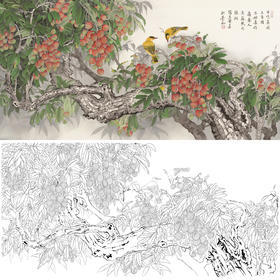 横幅四尺六尺工笔花鸟白描底稿-张克齐-荔枝-A144