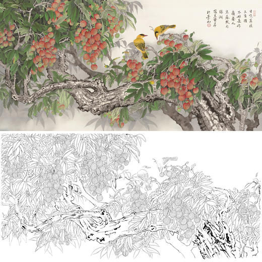 白描底稿-工笔花鸟-荔枝-a144