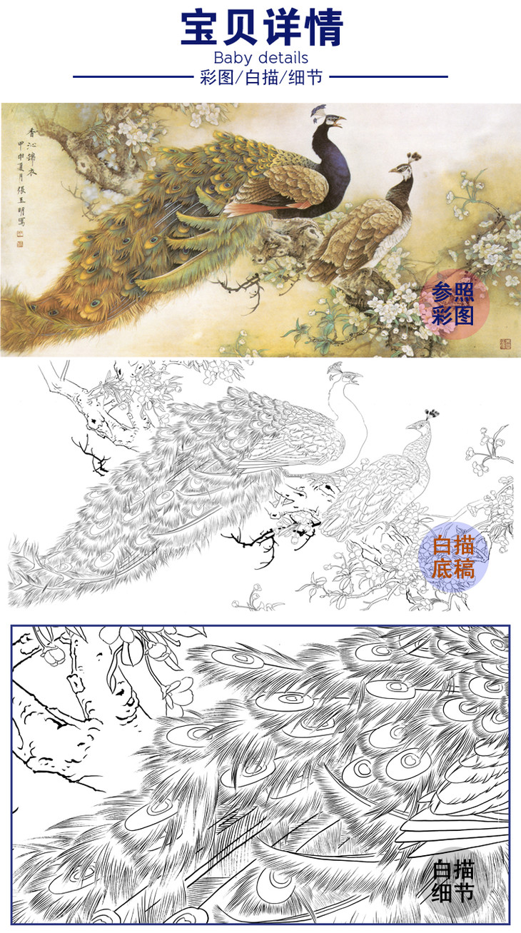 白描底稿张玉明工笔横幅四尺六尺花鸟孔雀香沁锦衣a139