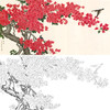 横幅四尺六尺工笔花鸟白描底稿-三角梅-A164 商品缩略图0
