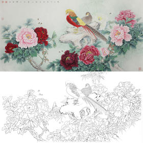 横幅工笔四尺六尺花鸟白描底稿-牡丹锦鸡-A152