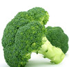 迈绿达优选【西兰花】  1个1.5斤左右 商品缩略图1