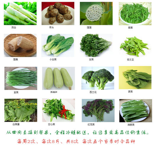有机蔬菜 宅配 全家福月套餐 商品图0