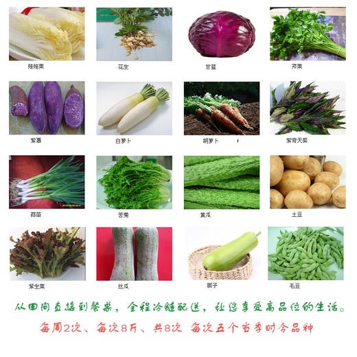 有机蔬菜 宅配 全家福月套餐 商品图2
