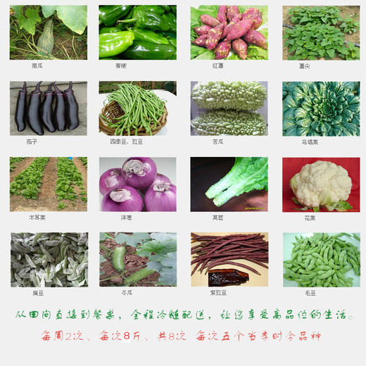 有机蔬菜 宅配 全家福月套餐 商品图1