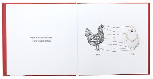 《小鸡亨妮》单册 发现自己的特别 读小库 2-6岁 商品图3