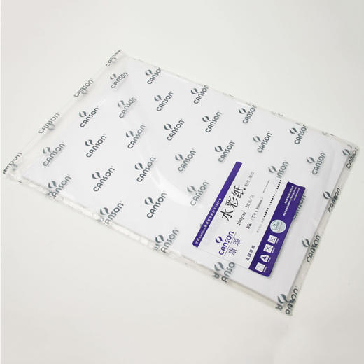 法国Canson康颂双面纹理水彩纸  200g 8开 20张 商品图0