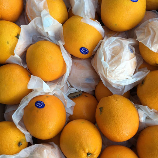 水果优选南非甜橙