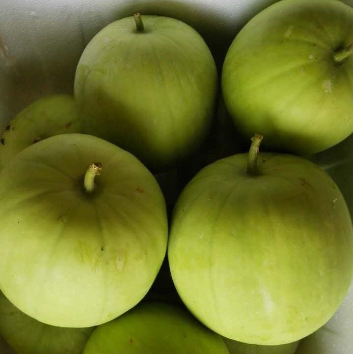 香芋冬瓜,香芋味的冬瓜!约2～3斤一个!