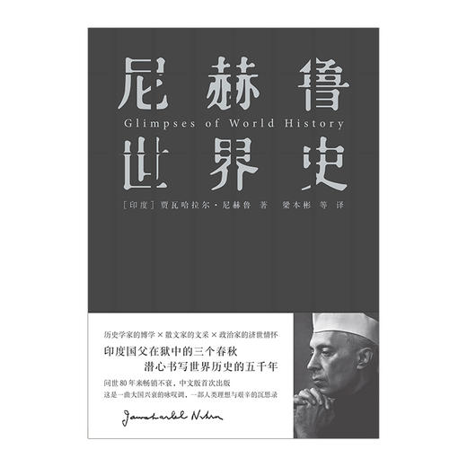 尼赫鲁世界史 人类理想与艰辛的沉思录 印度国父尼赫鲁著 中信出版社图书 畅销书 正版书籍 商品图4