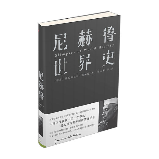 尼赫鲁世界史 人类理想与艰辛的沉思录 印度国父尼赫鲁著 中信出版社图书 畅销书 正版书籍 商品图5
