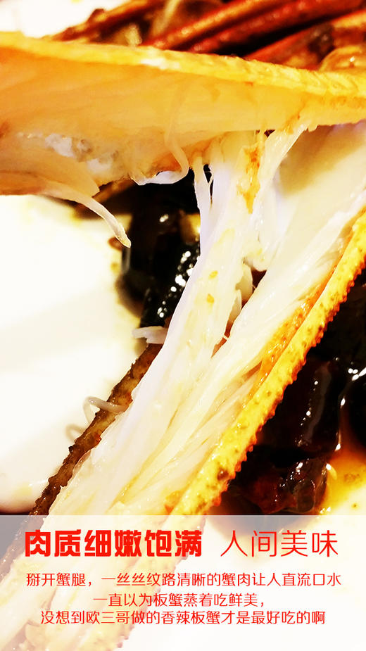 【松叶蟹】 商品图5