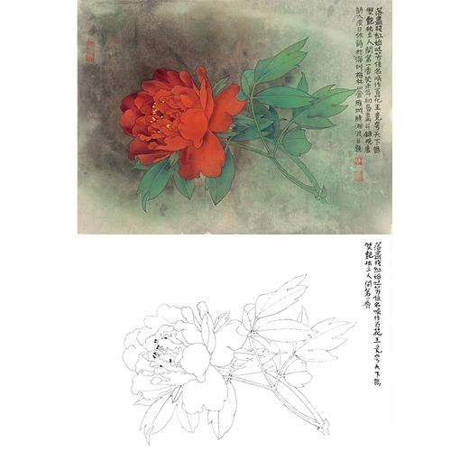 工笔花鸟白描底稿-花卉牡丹《独立人间第一香》-斗方小品册页-A189 商品图0