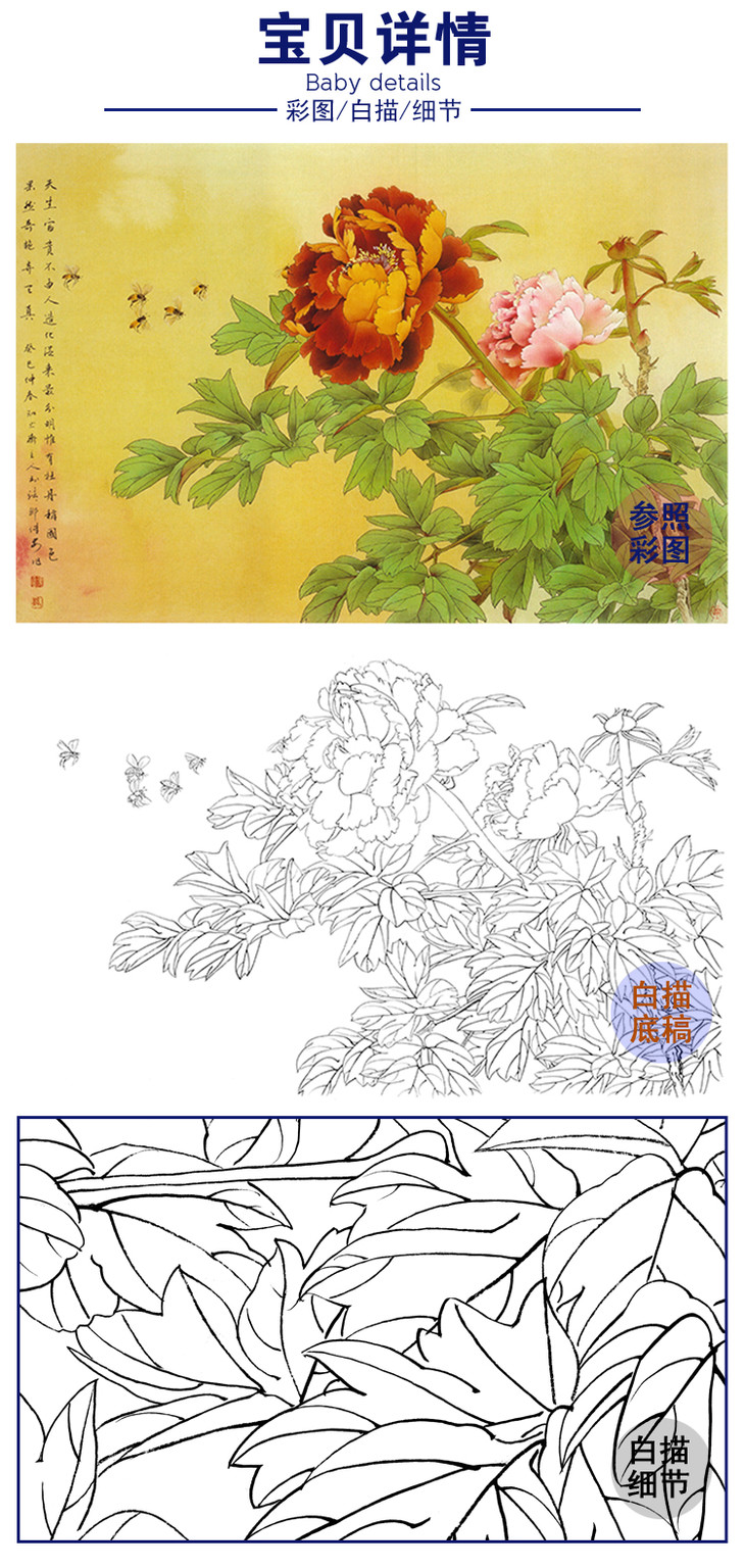 横幅工笔花鸟白描底稿邹传安牡丹a191