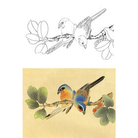 工笔花鸟白描底稿-斗方小品册页-A184