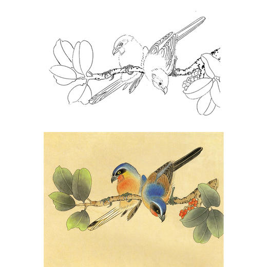 工笔花鸟白描底稿-斗方小品册页-A184 商品图0