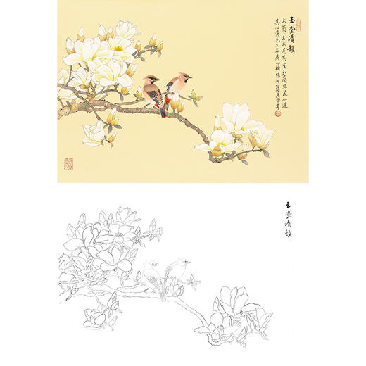 工筆花鳥白描底稿-張克齊-玉蘭花-斗方小品冊頁-a188 - 桔舍