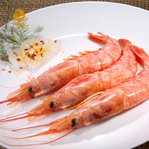 阿根廷红虾