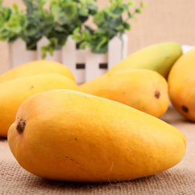 【宏丰精选】大台农芒果   芒香浓郁  果汁超多  口感甜   老少皆宜，活动价7.98一斤