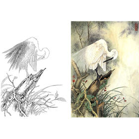 竖幅工笔花鸟白描底稿-白鹭-A182