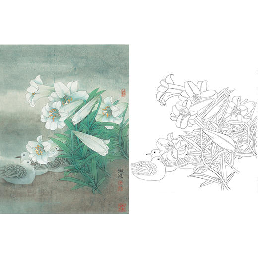工笔花鸟白描底稿-百合花《润物无声》-斗方小品册页-A208 商品图0