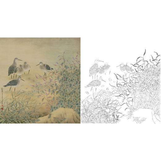 工笔花鸟白描底稿-红廖《秋趣图》-斗方小品册页-多种白描尺寸可选-A214 商品图0