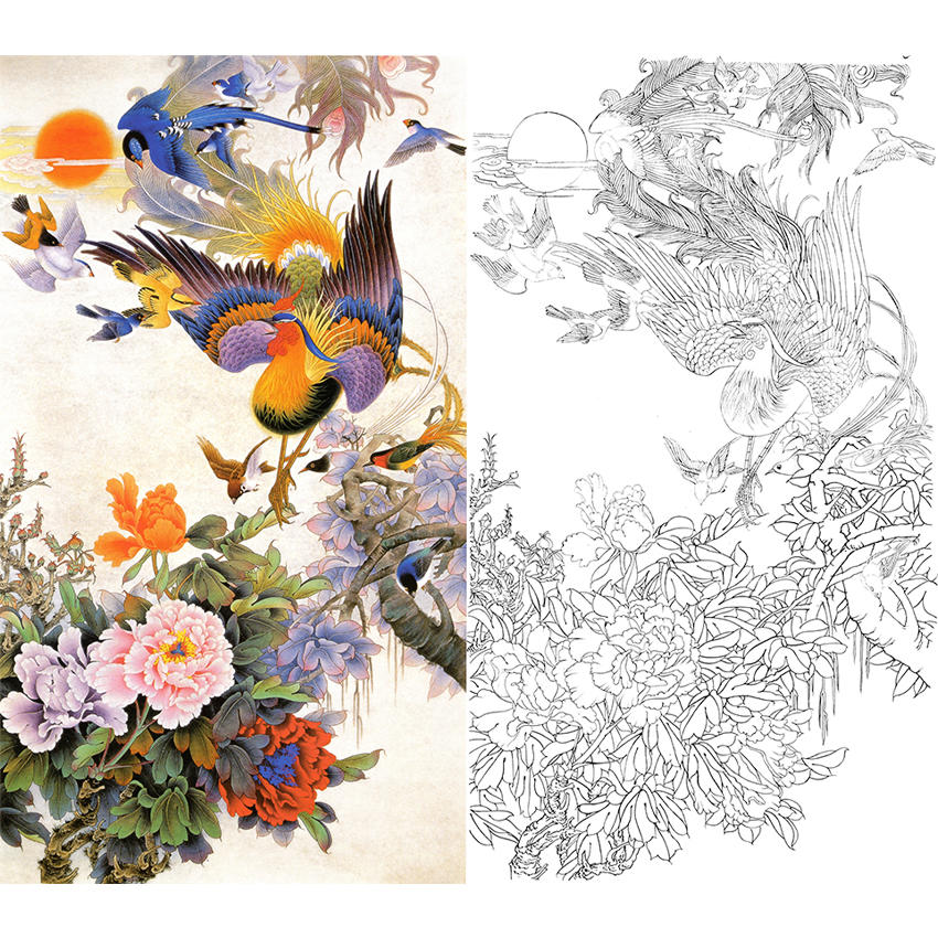 白描底稿-工笔花鸟-凤凰-a210