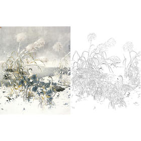 工笔花鸟白描底稿-鹅-斗方小品册页-A209