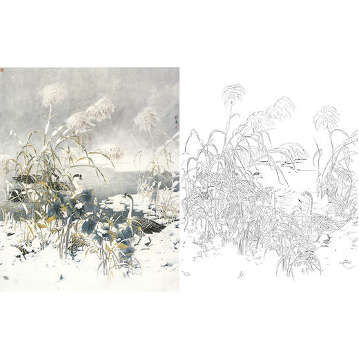 工笔花鸟白描底稿-鹅-斗方小品册页-A209 商品图0