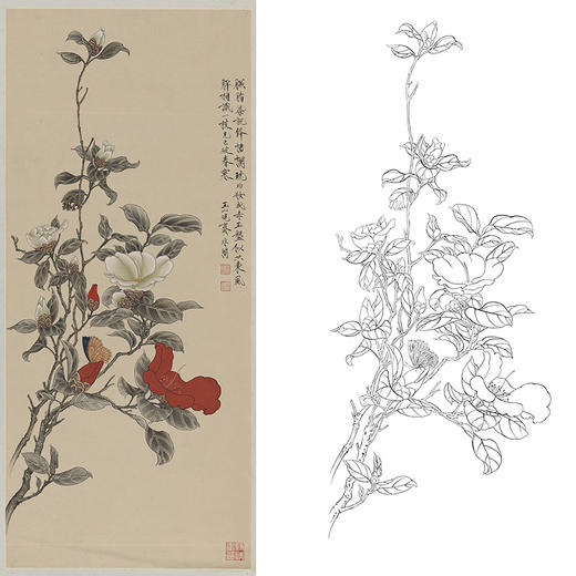 竖幅工笔花鸟白描底稿-于非闇-山茶花-A211 商品图0