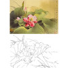 横幅工笔花鸟白描底稿-邹传安-荷花-A194 商品缩略图0