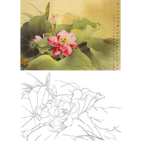 横幅工笔花鸟白描底稿-邹传安-荷花-A194