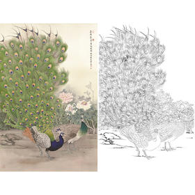 竖幅工笔花鸟白描底稿-张克齐-孔雀-A202