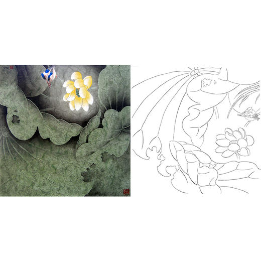 工笔花鸟白描底稿-荷花-斗方小品册页-A269 商品图0