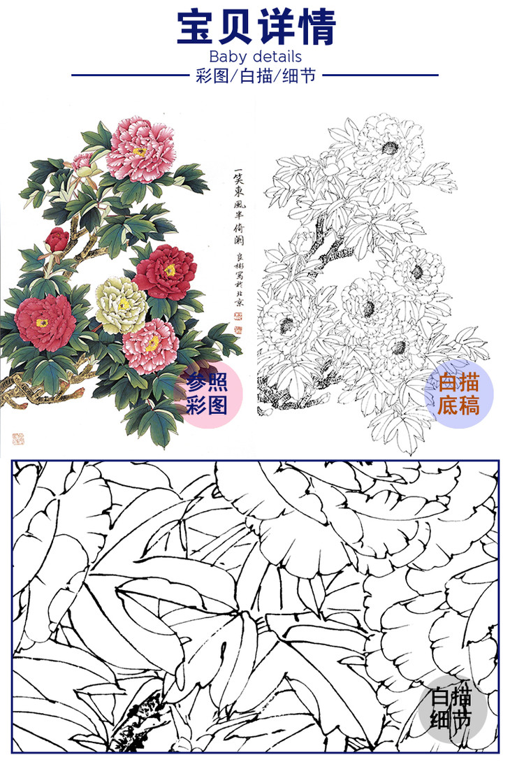 豎幅工筆花鳥白描底稿花卉牡丹a224