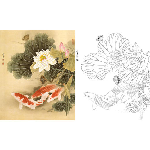工笔花鸟白描底稿路雨年鲤鱼斗方小品册页a254