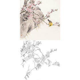工笔花鸟白描底稿-龚文桢-斗方小品册页-A290