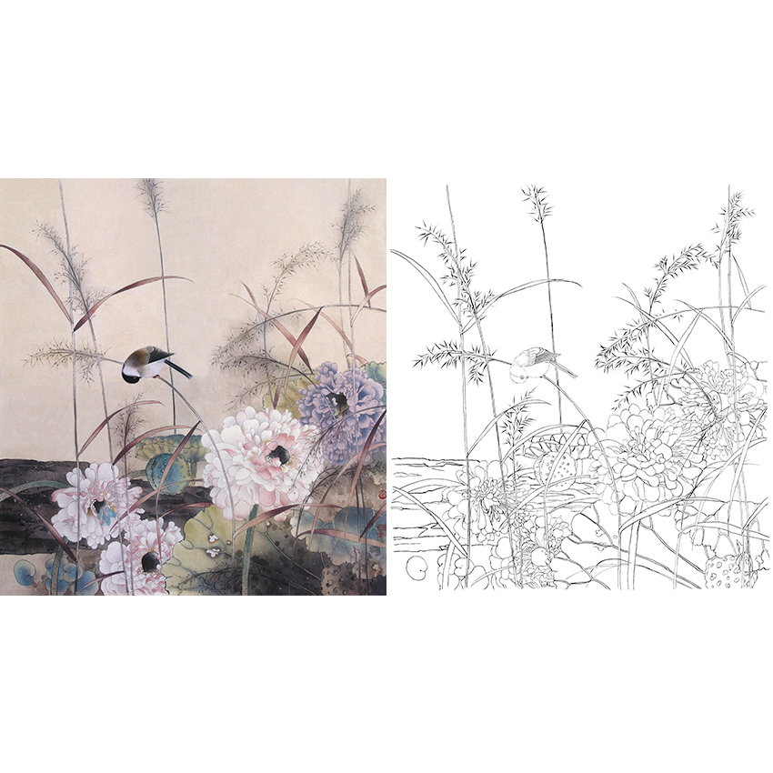 贾广健工笔花鸟白描底稿-荷花-斗方小品册页-A285