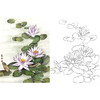 工笔花鸟白描底稿-荷花睡莲-斗方小品册页-A305 商品缩略图0