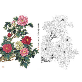 竖幅工笔花鸟白描底稿-花卉-牡丹-A224