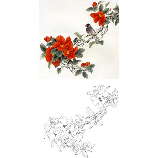 工笔花鸟白描底稿-山茶花-斗方小品册页-A297 商品图0