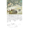 工笔花鸟动物白描底稿-邹传安-黑头鸭-芙蓉花鸭子-斗方小品册页-A293 商品缩略图0