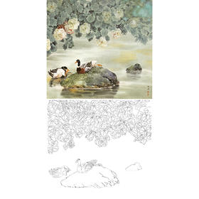 工笔花鸟动物白描底稿-邹传安-黑头鸭-芙蓉花鸭子-斗方小品册页-A293