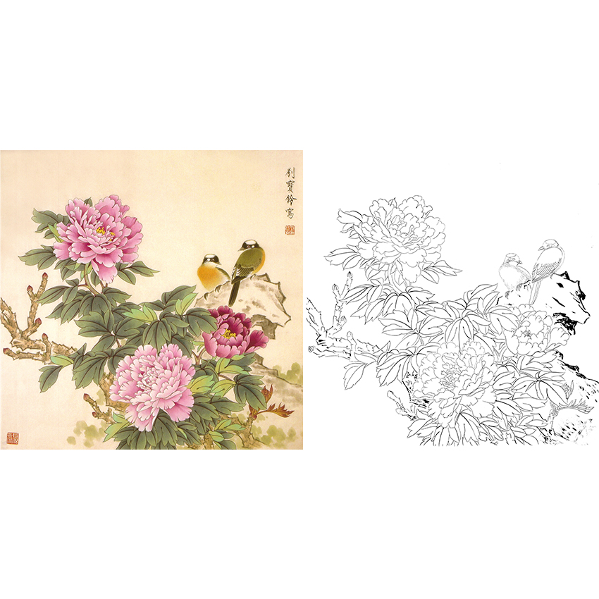 工笔花鸟白描底稿-牡丹-斗方小品册页-A270