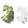 竖幅工笔花鸟白描底稿-花卉-牡丹-A229 商品缩略图0