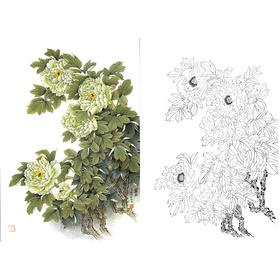 竖幅工笔花鸟白描底稿-花卉-牡丹-A229