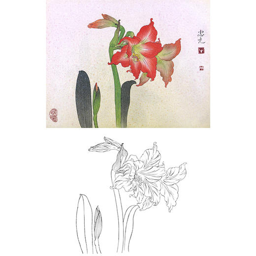 工笔花鸟白描底稿-花卉-斗方小品册页-A239 商品图0