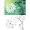 工笔花鸟白描底稿-花卉牡丹-斗方小品册页-A234 商品缩略图0